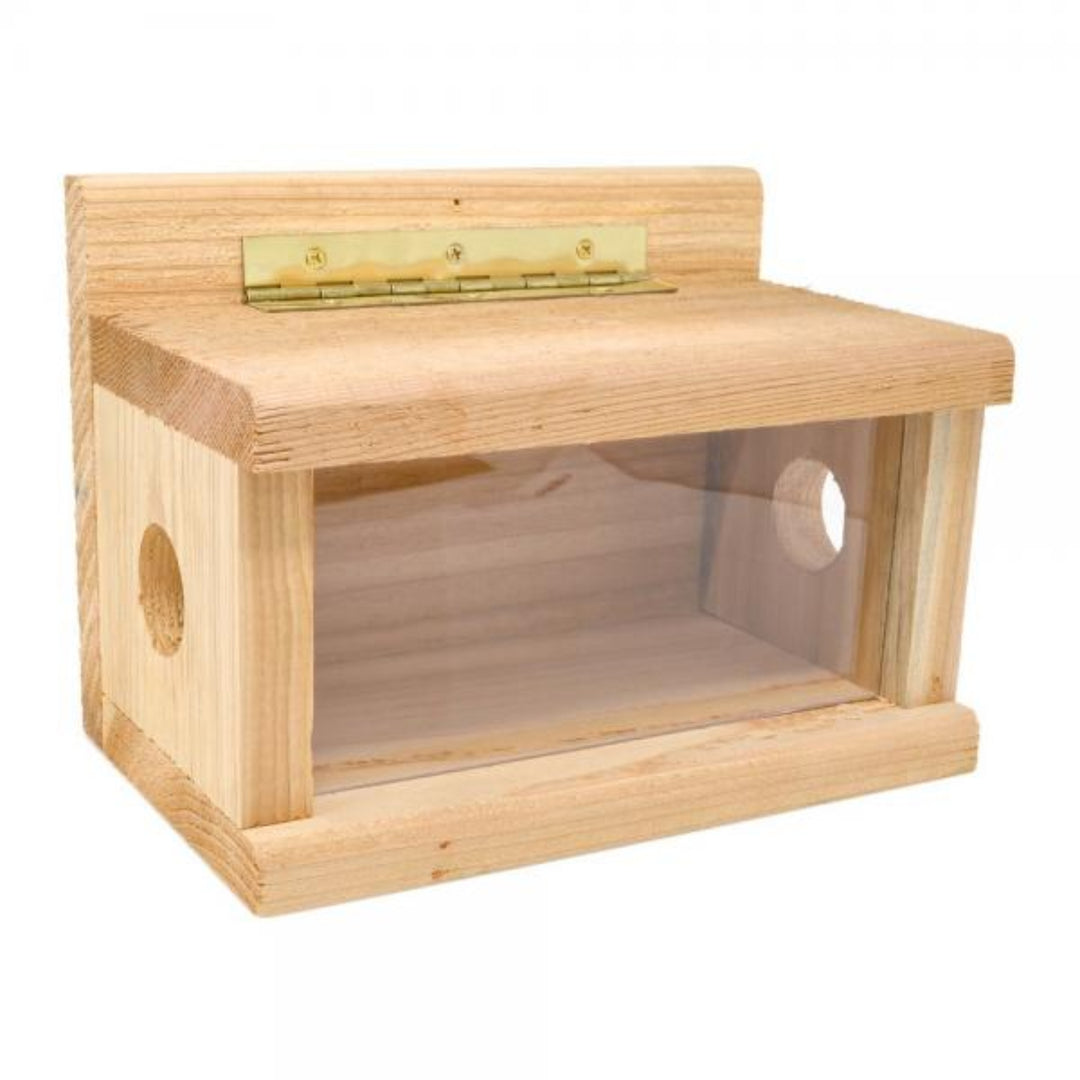 Wooden bird feeder with a clear front panel on a white background