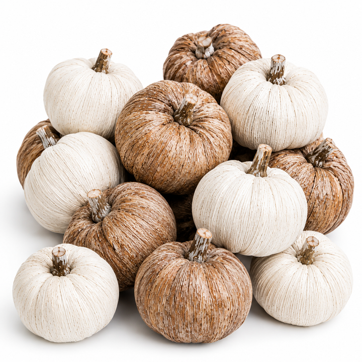 Natural Dried Pumpkins