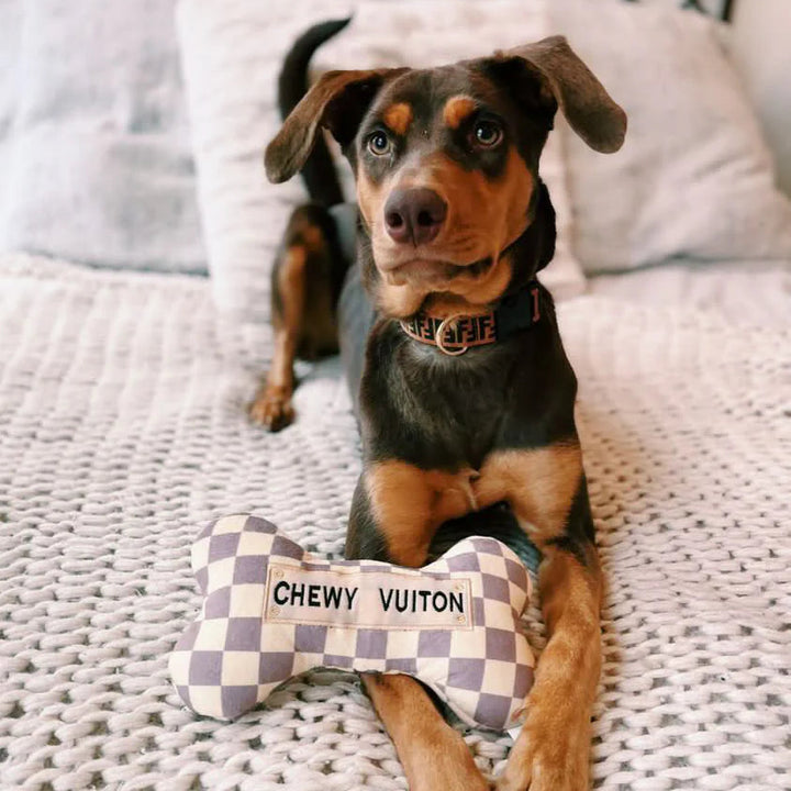 Checker Chewy Vuiton Bone