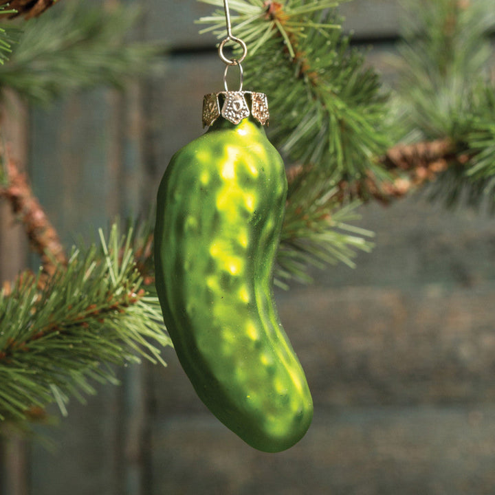 A green pickle-shaped Christmas ornament with yellow speckles hanging from a silver metal loop on a pine tree branch.