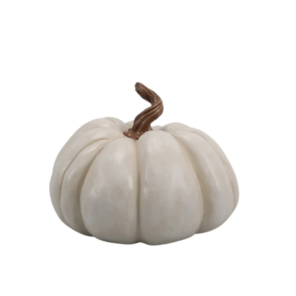 White pumpkin with brown stem and measurement labels on a white background