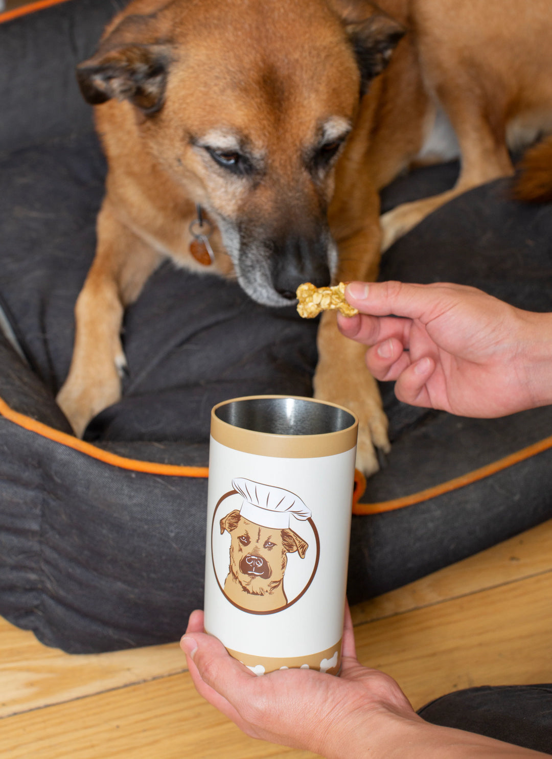 Make Your Own Dog Treats Set