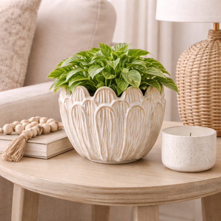 Decorative plant in a textured pot on a wooden table with a neutral background