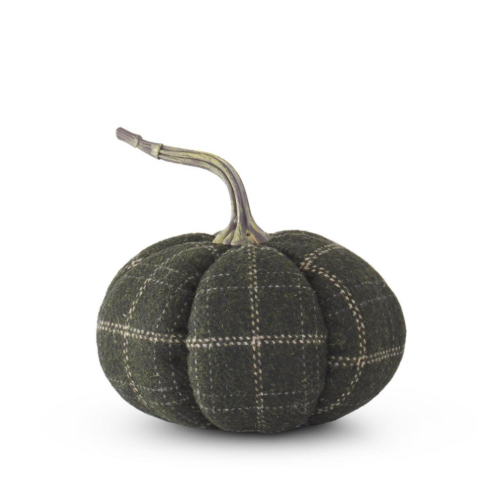 Textured green pumpkin with plaid pattern on a white background