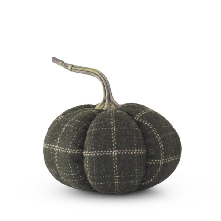 Textured green pumpkin with plaid pattern on a white background