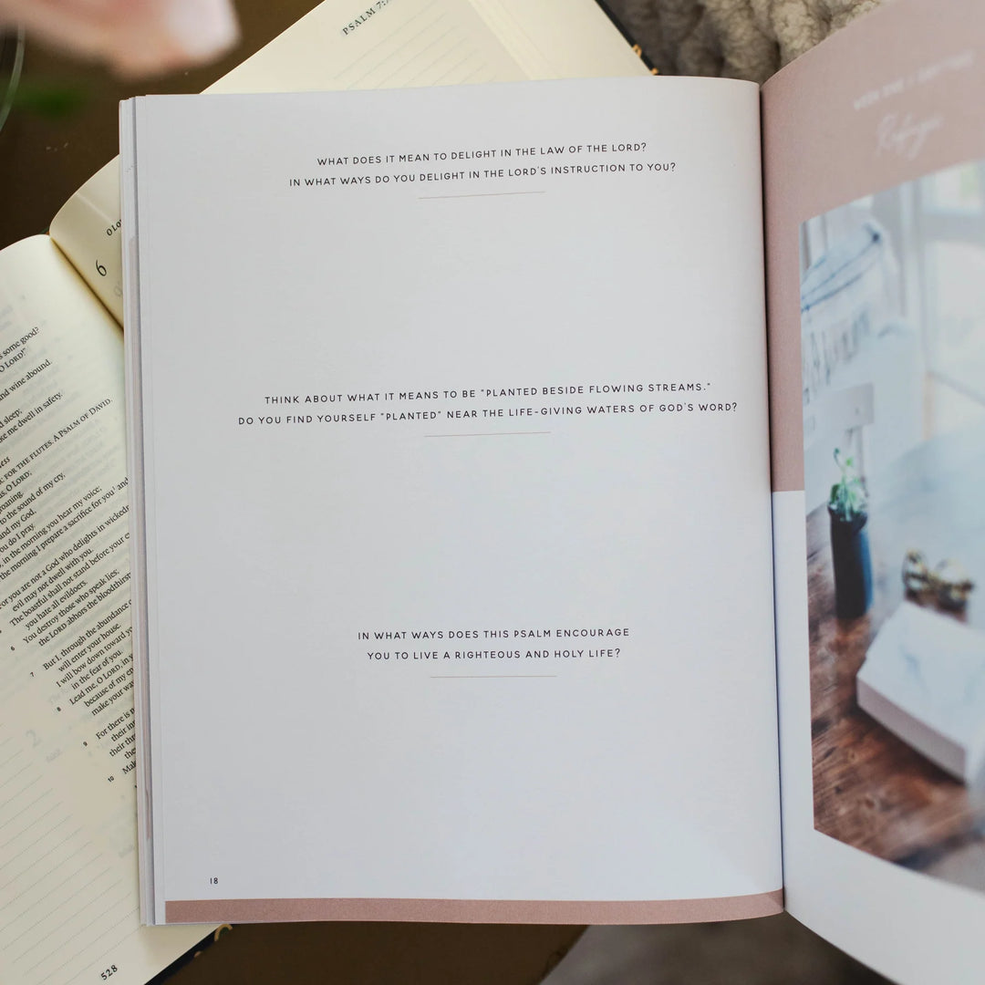 Delight: Psalms 1-30 Bible Study