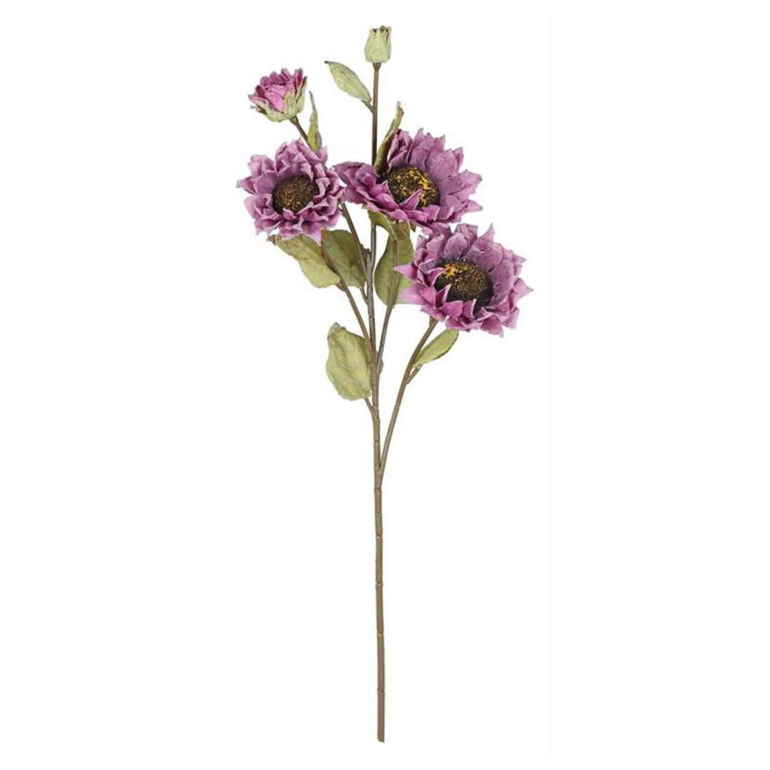 Dried Sunflower Spray 