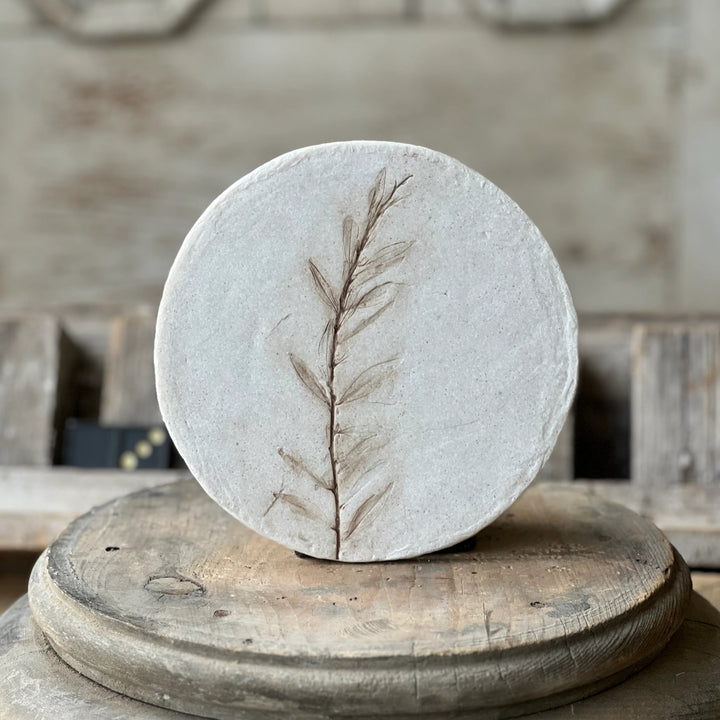 Dried Botanical Stem Coaster