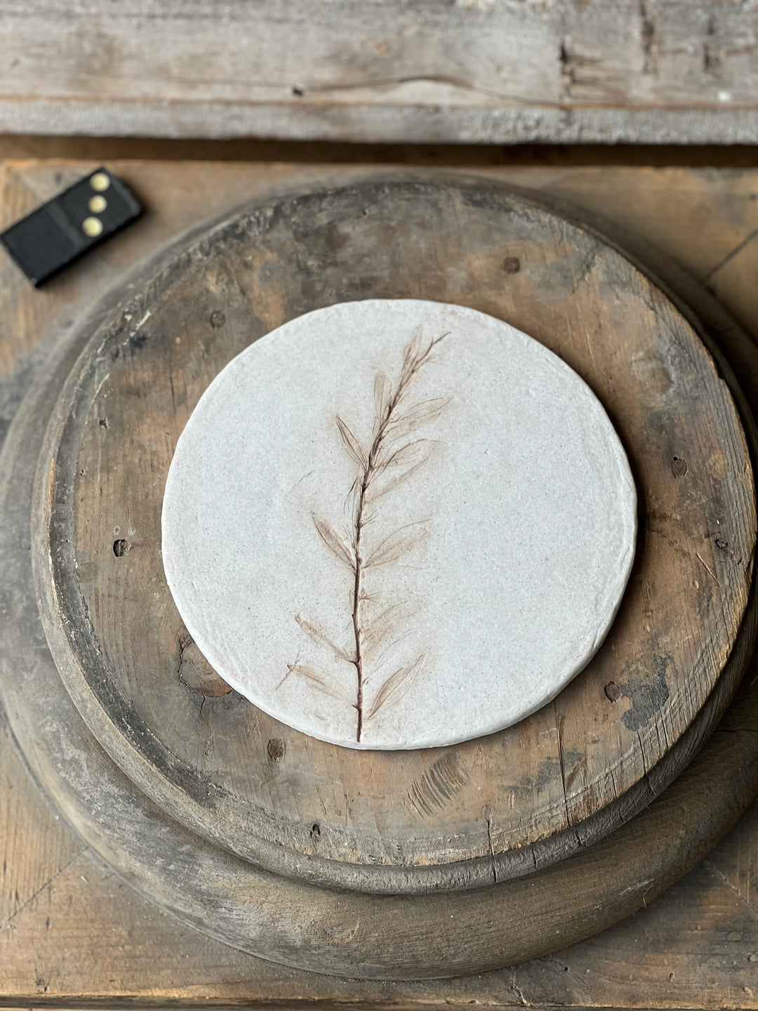 Dried Botanical Stem Coaster