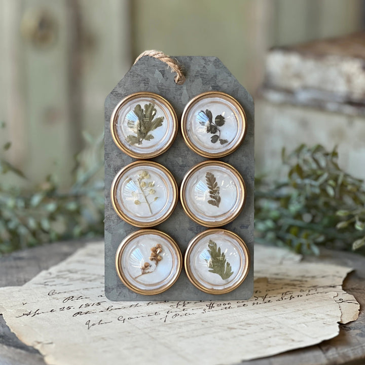 Tiny Botanical Treasures Magnet Set