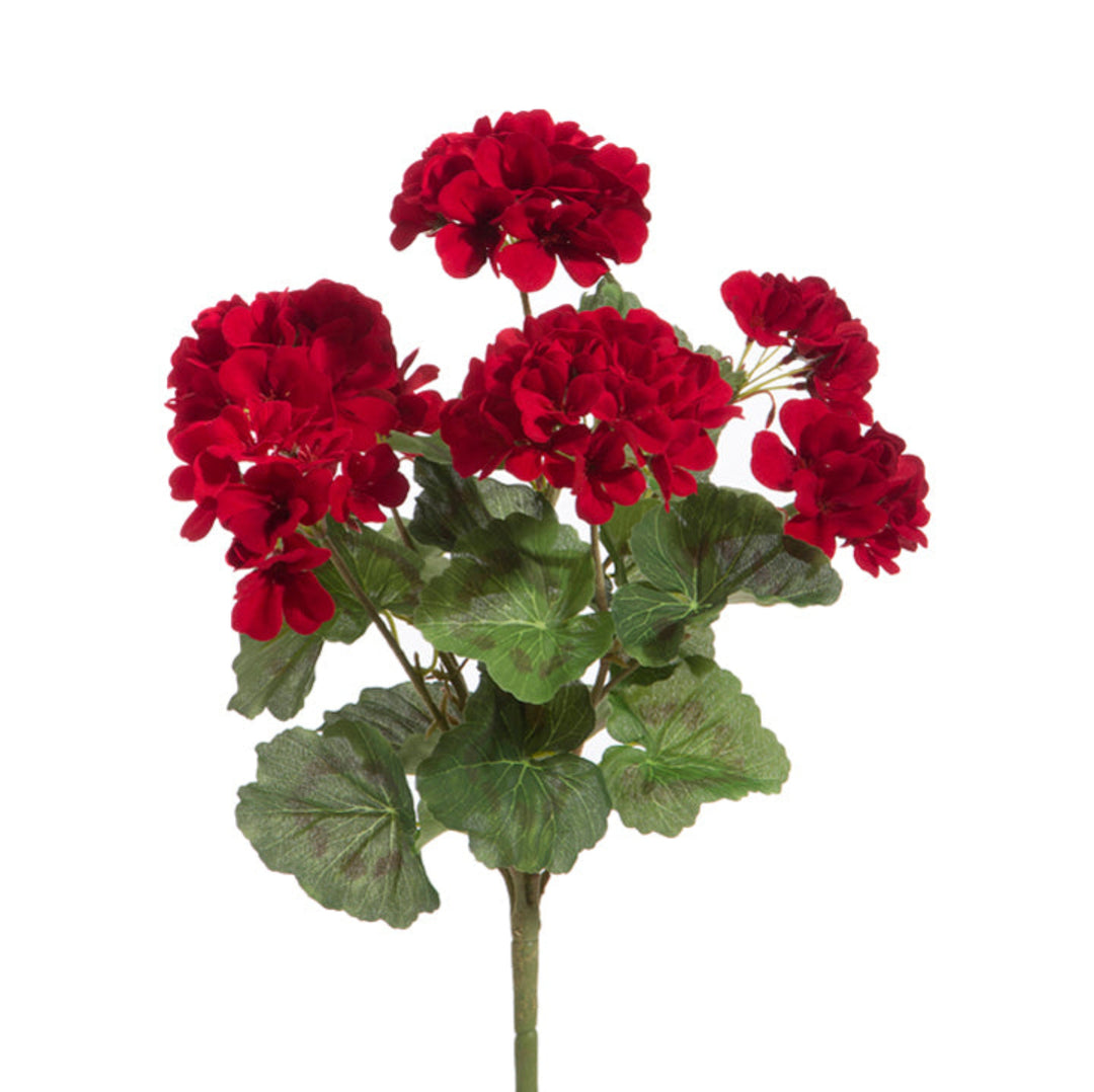 Classic Red Geranium Bush