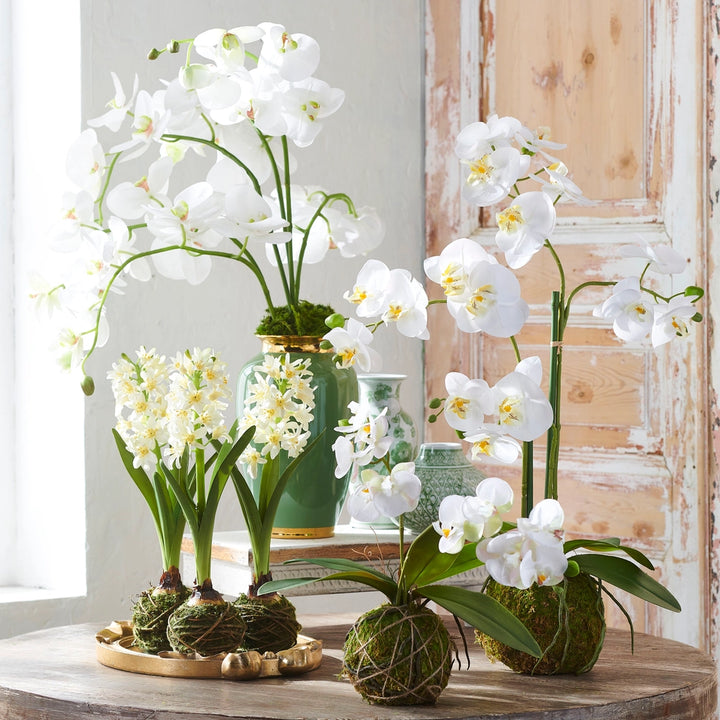 Real Touch Orchid With Moss Ball