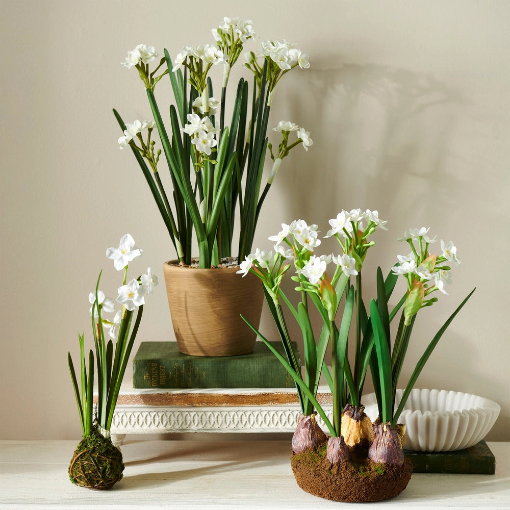 Narcissus Arrangement