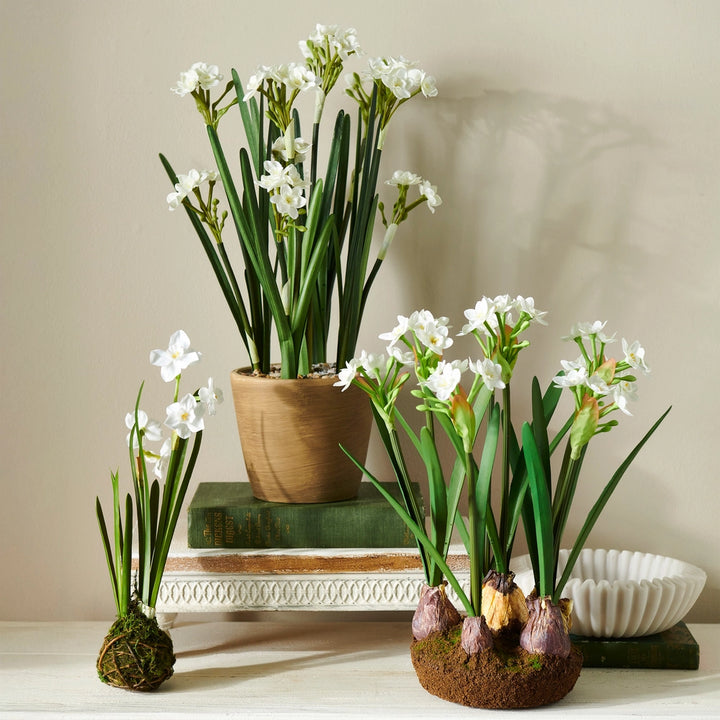 Narcissus Arrangement