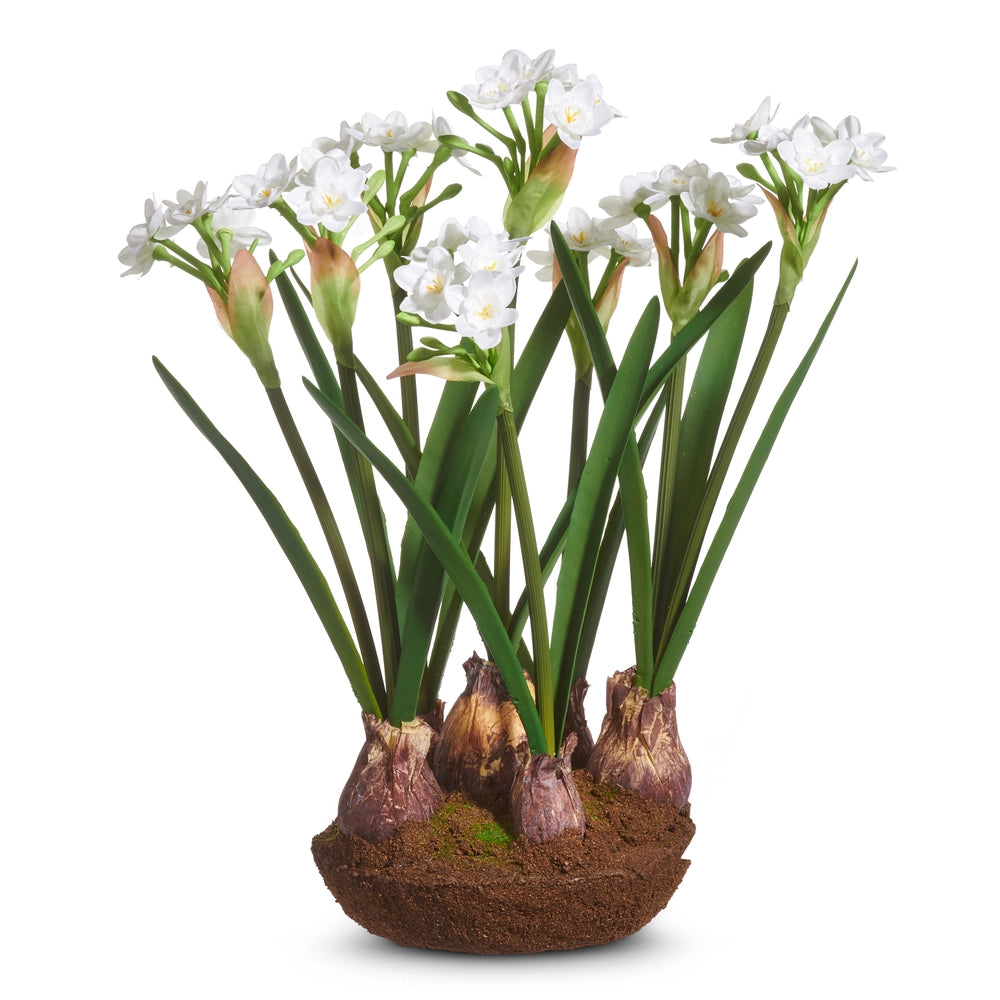 Narcissus Arrangement
