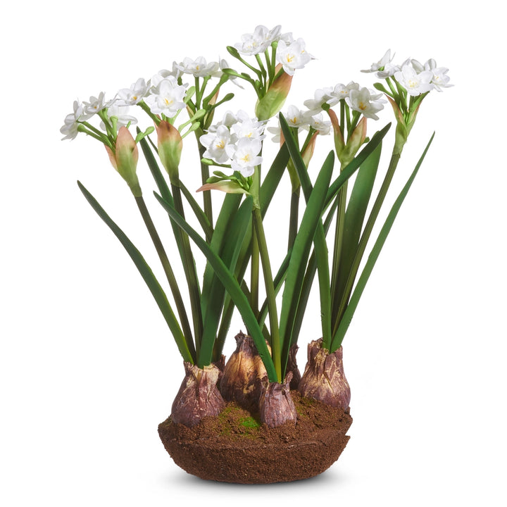 Narcissus Arrangement