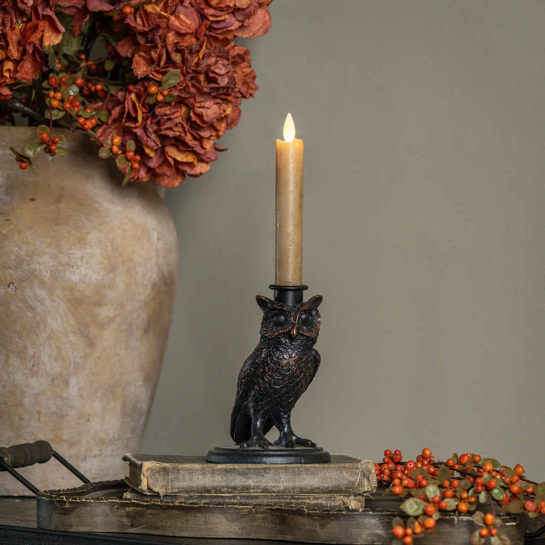 Black Owl Taper Holder