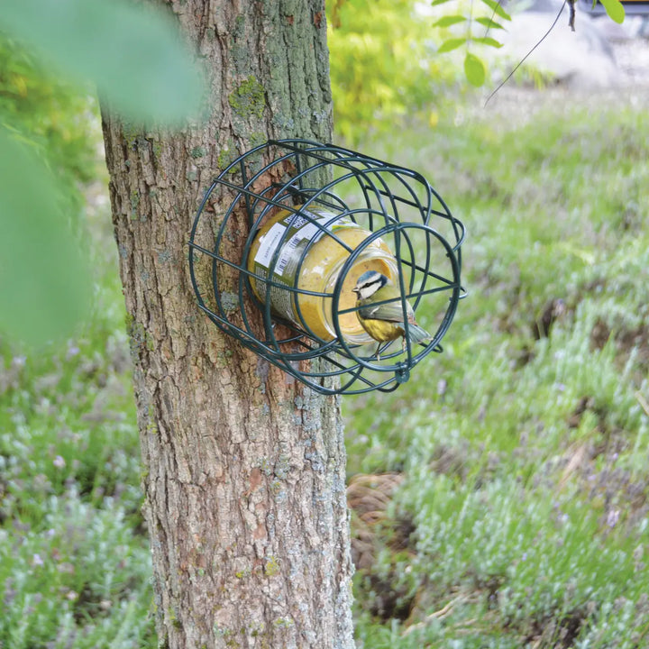 Squirrel Proof Peanut Butter Jar Feeder