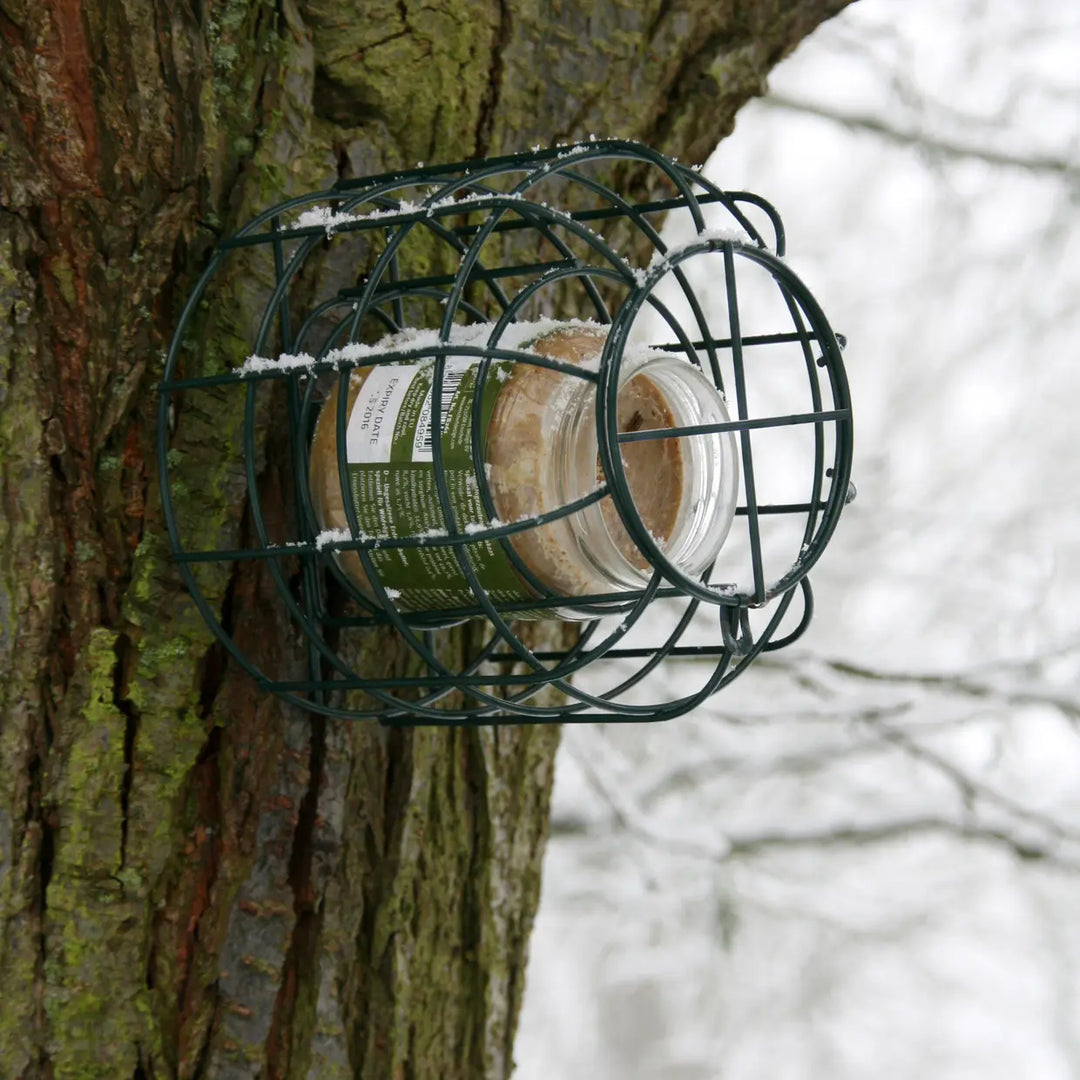 Squirrel Proof Peanut Butter Jar Feeder