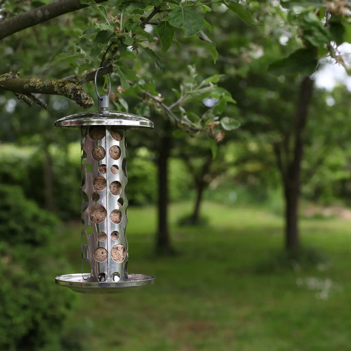Stainless Steel Suet Ball Bird Feeder
