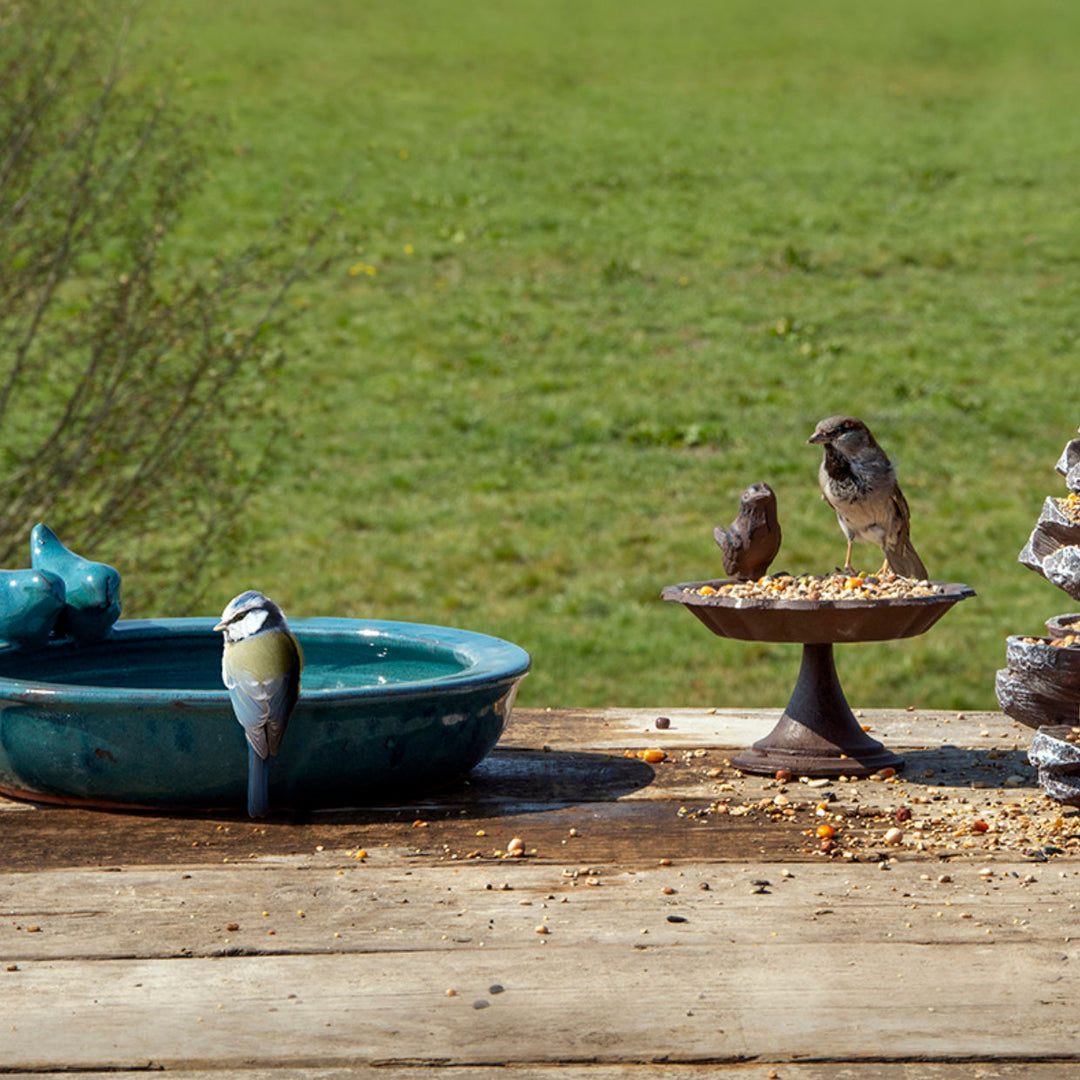 Miniature Round Birdbath
