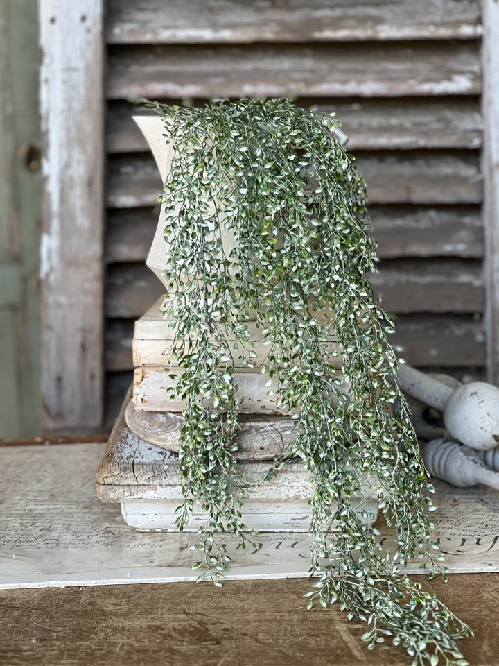 Little Luna Green Hanging Foliage