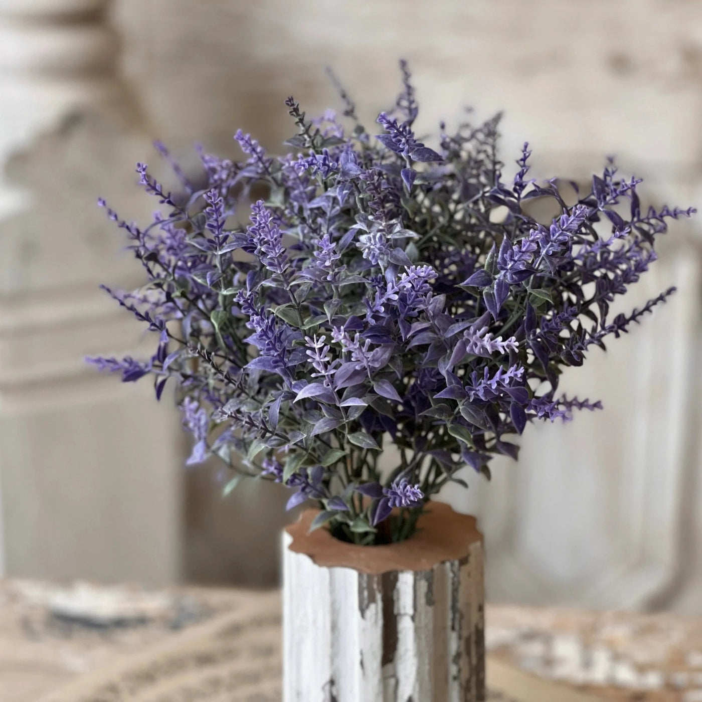 Provence Plains Lavender Bush