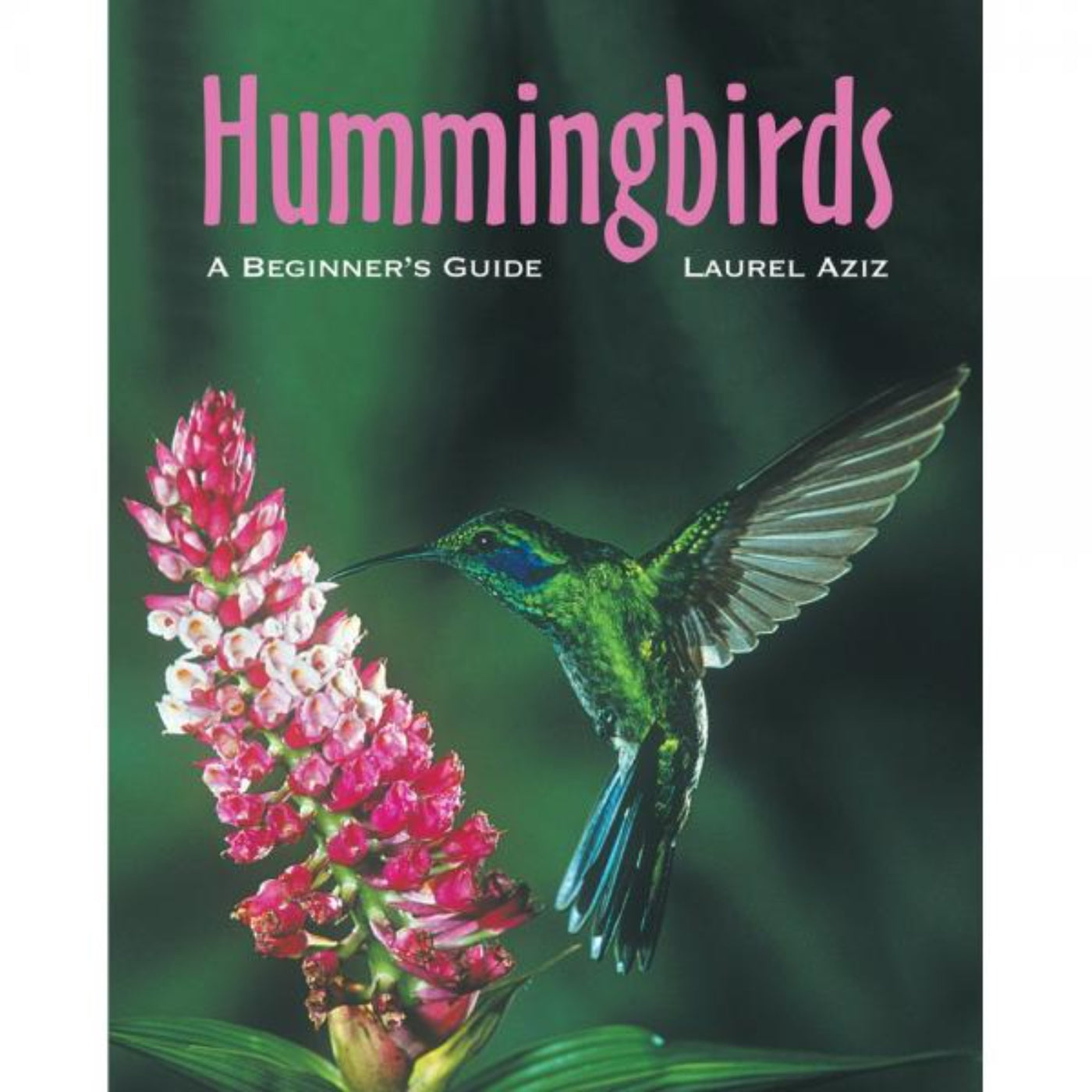 Hummingbirds: A Beginners Guide