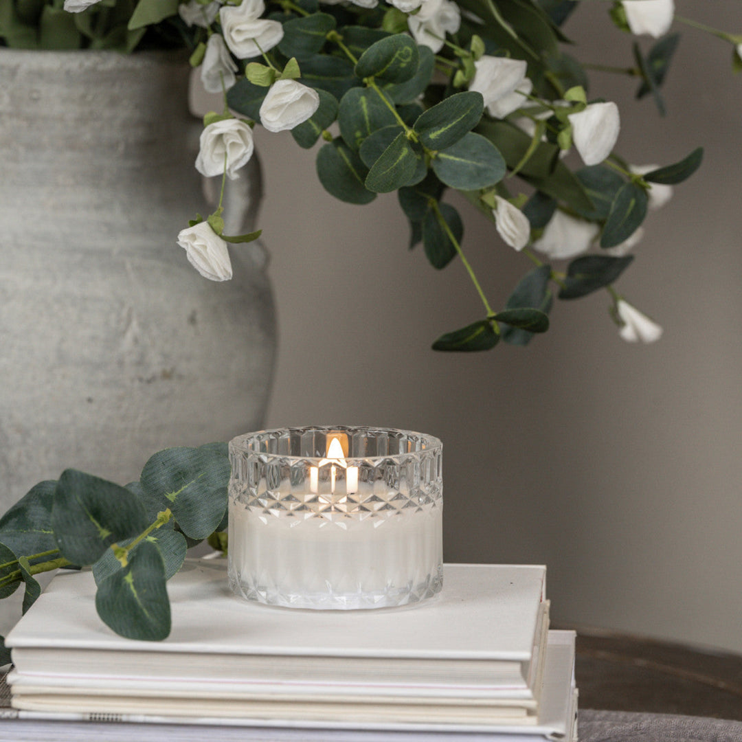 Candle in a glass holder on books with a potted plant in the background