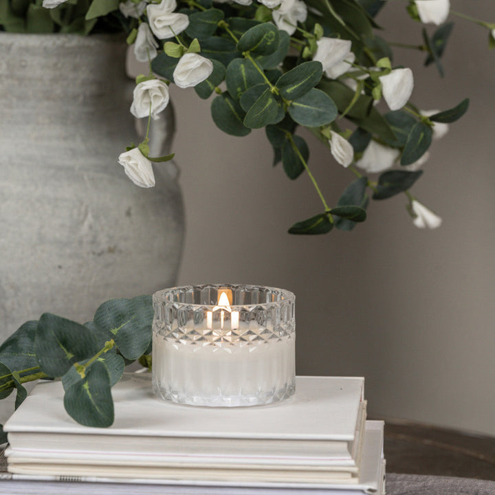 Candle in a glass holder on books with a potted plant in the background