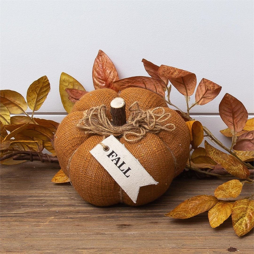 Decorative pumpkin with a 'Fall' tag surrounded by autumn leaves on a wooden surface.