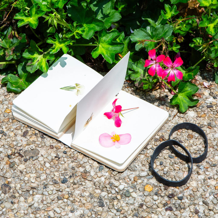 Field Flower Press Book