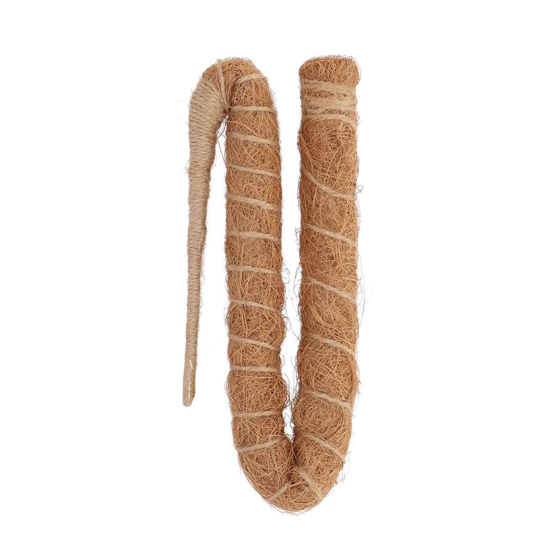 Two coiled ropes made of natural fibers on a white background