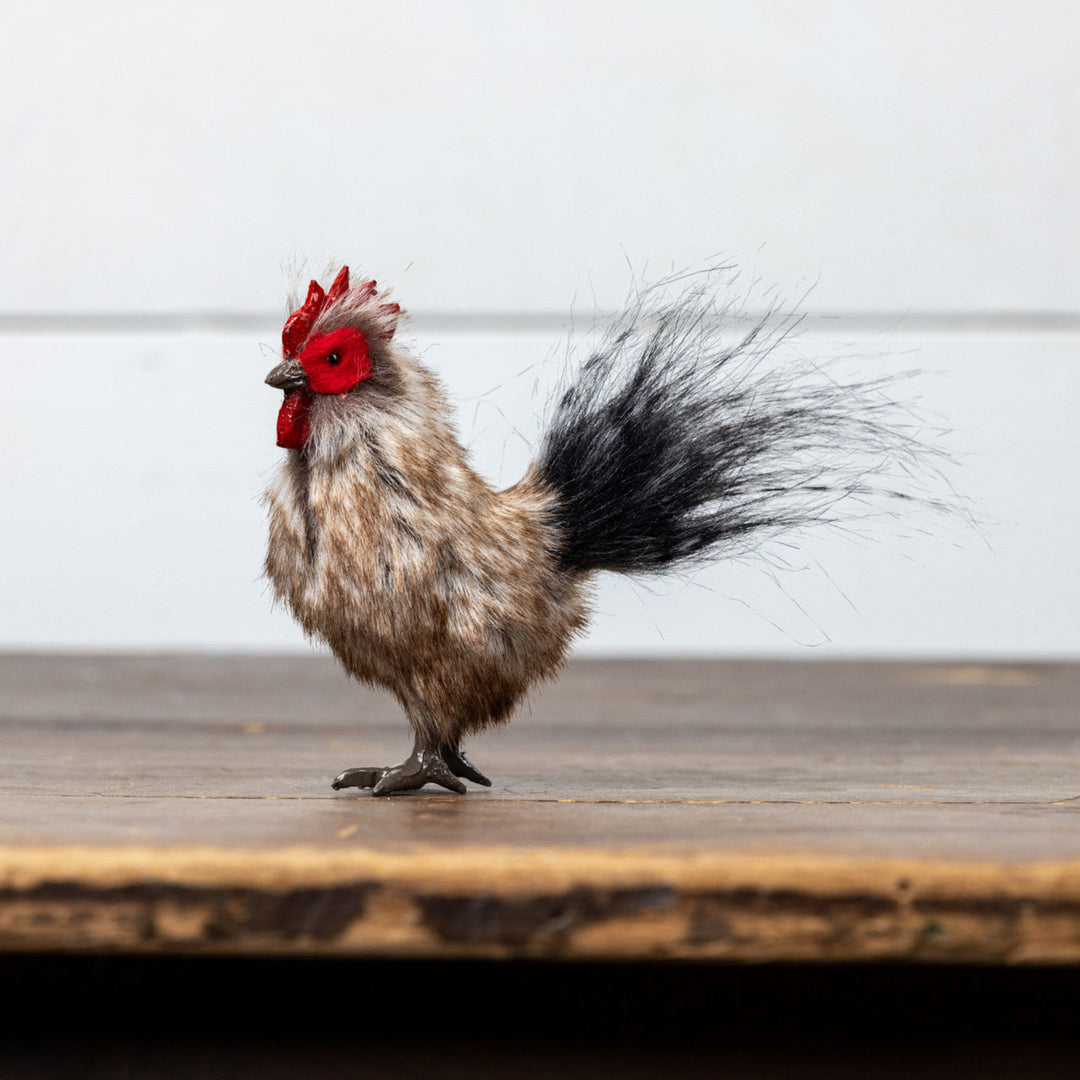 Rooster standing on a wooden surface with a white background