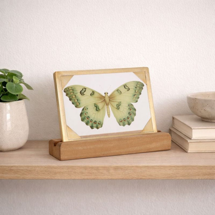 Framed artwork of a green butterfly on a wooden stand with a plant and books in the background.