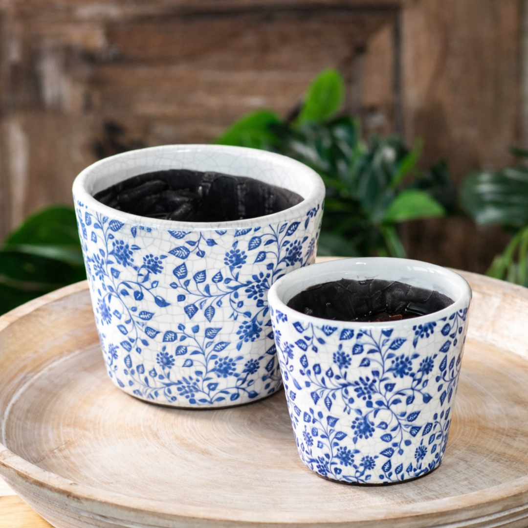 Fresh Blue Floral Planter on wooden tray with greens in the background