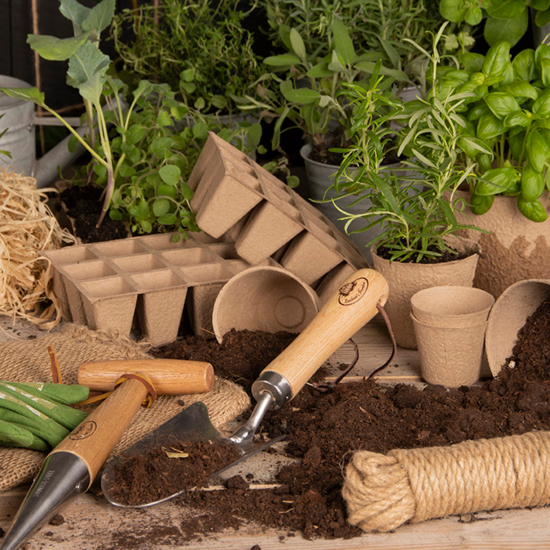 Biodegradable Grow Pots