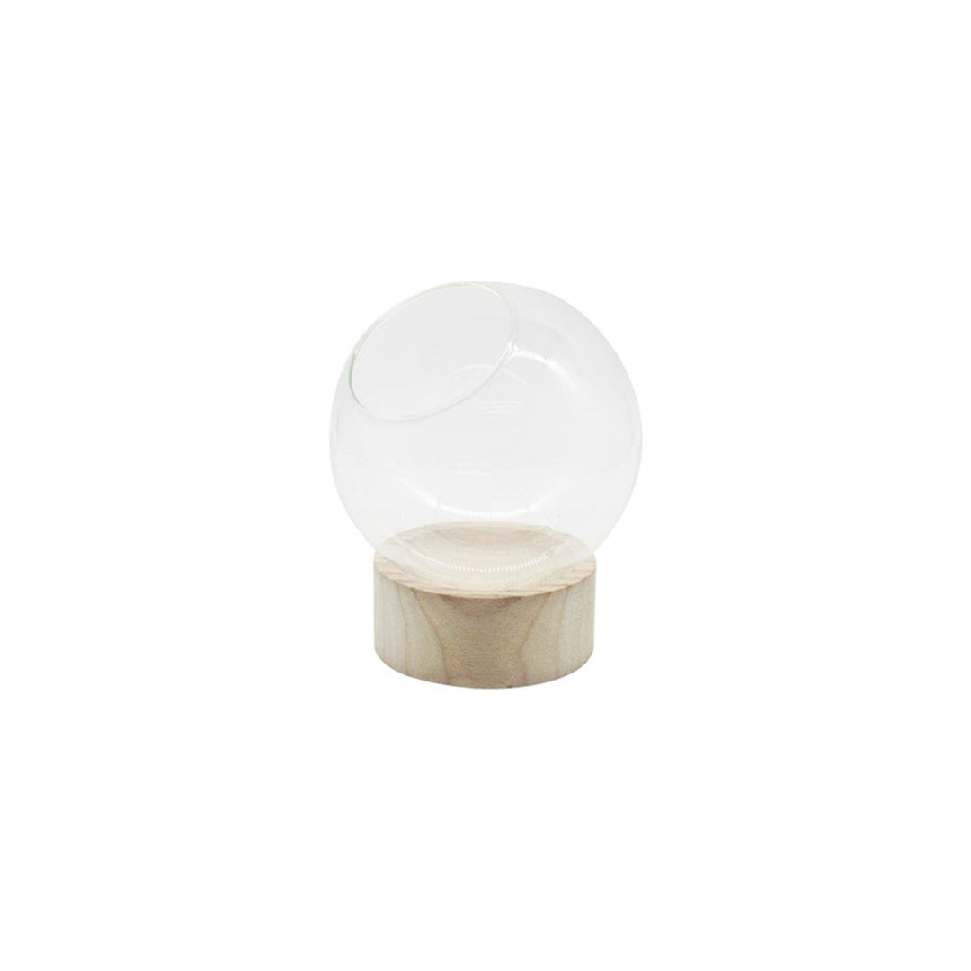 Glass Orb Terrarium & Base