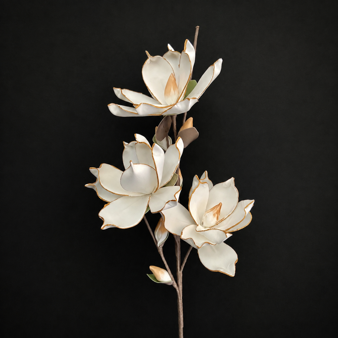 Three white magnolia flowers with gold-edged petals and brown stems, arranged against a solid black background.