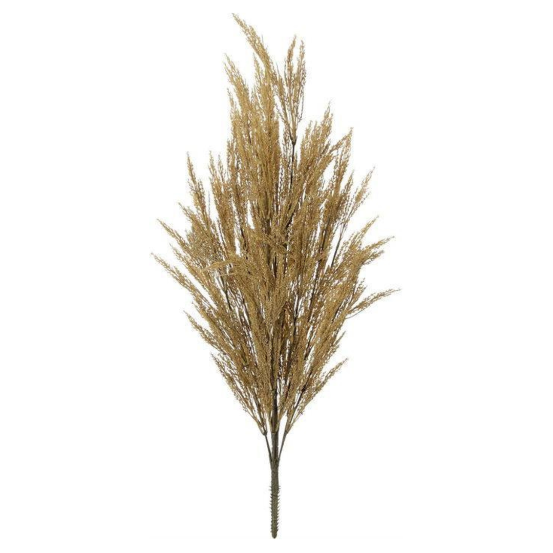 Golden Wheat Bush