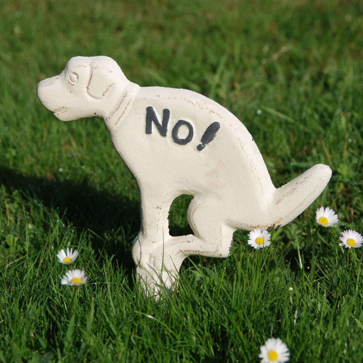 No Pooing Doggy Sign