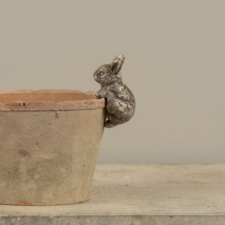 Gold Bunny Pot Hugger