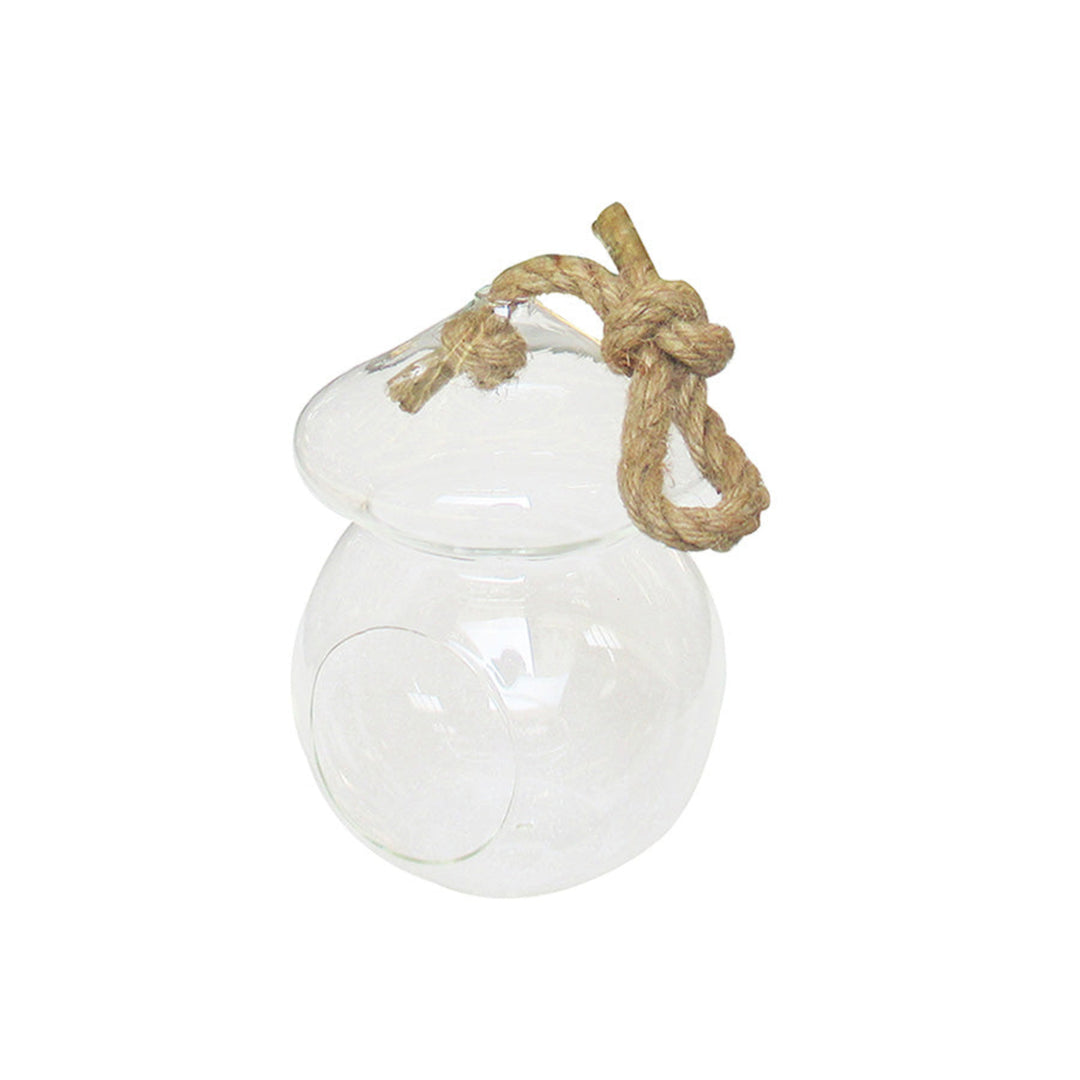 Hanging Glass Mushroom Terrarium