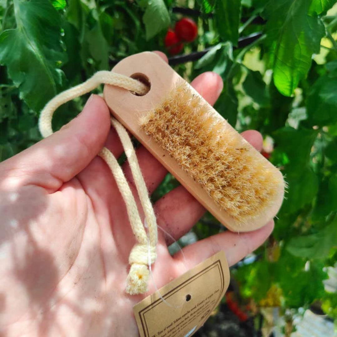 Hanging Wooden Nail Brush