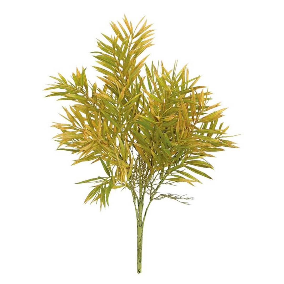 Harvest Yew Bush