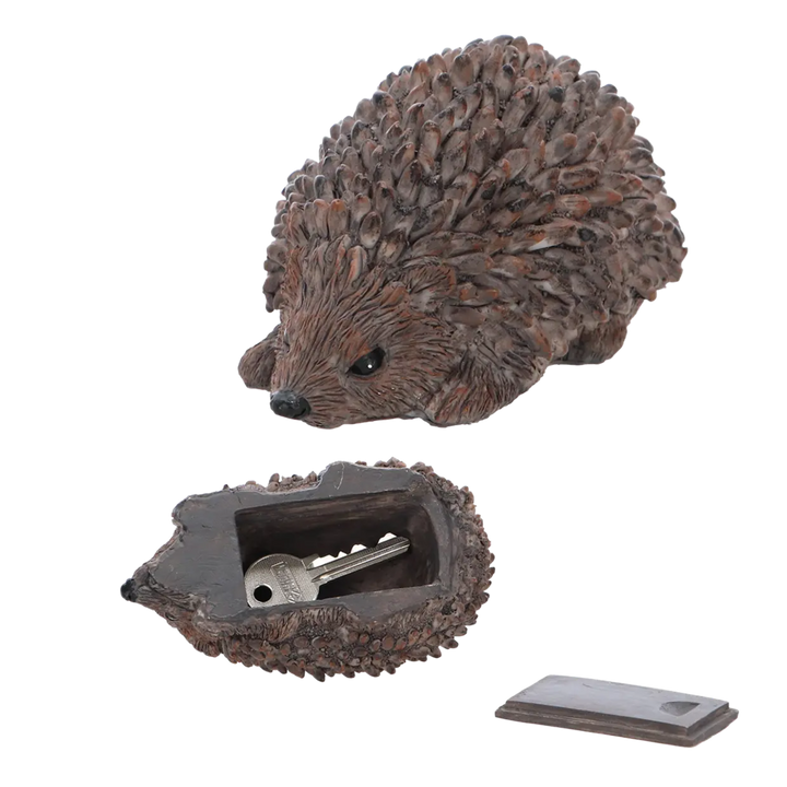 Hedgehog-shaped container with a key inside on a white background