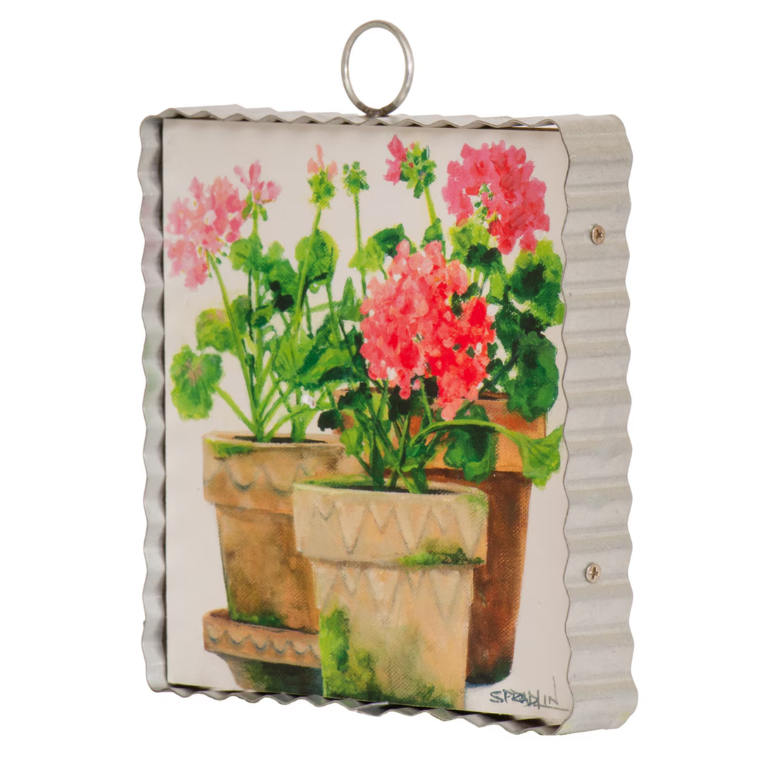 Potted Geraniums Scalloped Mini Print