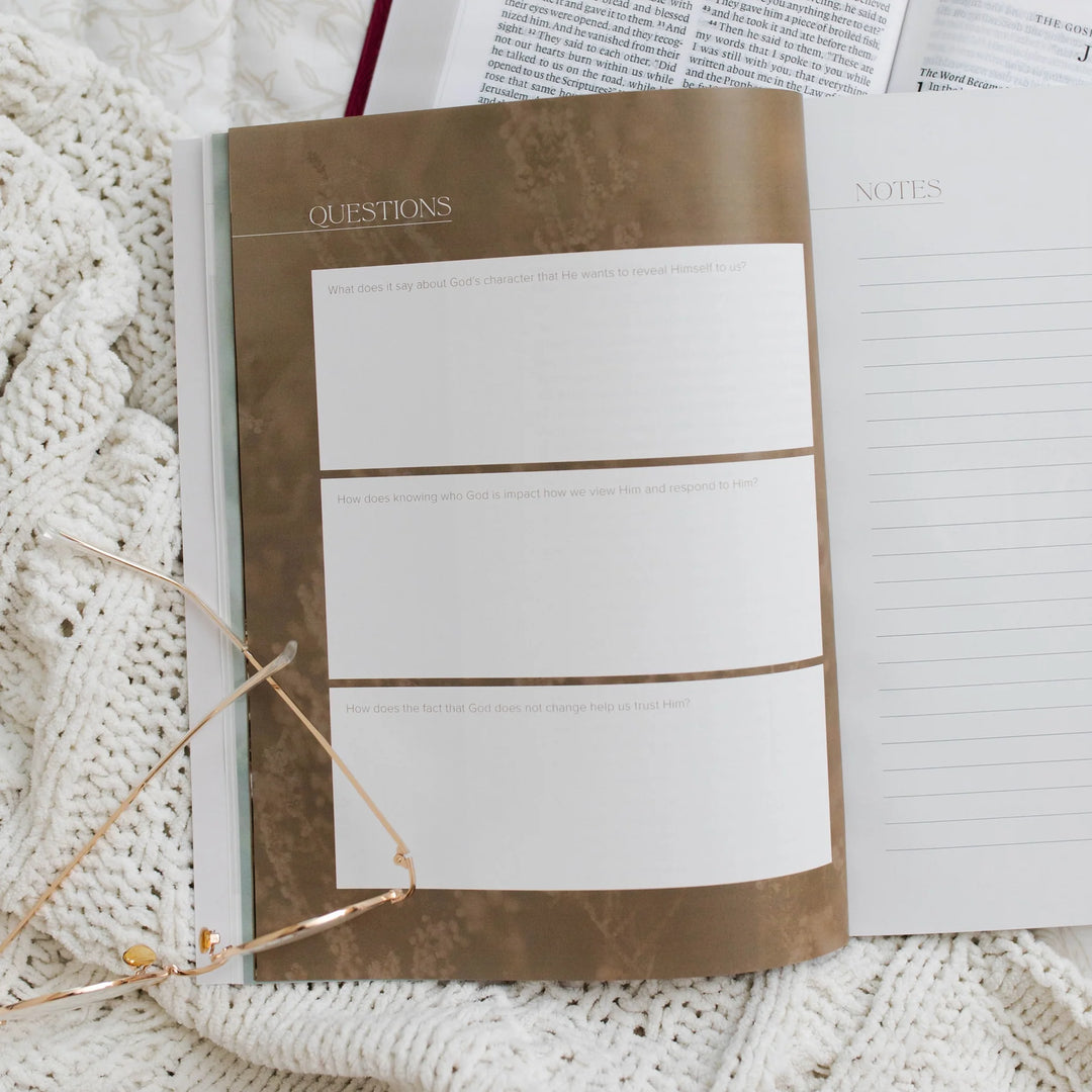 I Am: Who Jesus Is Changes Everything Bible Study