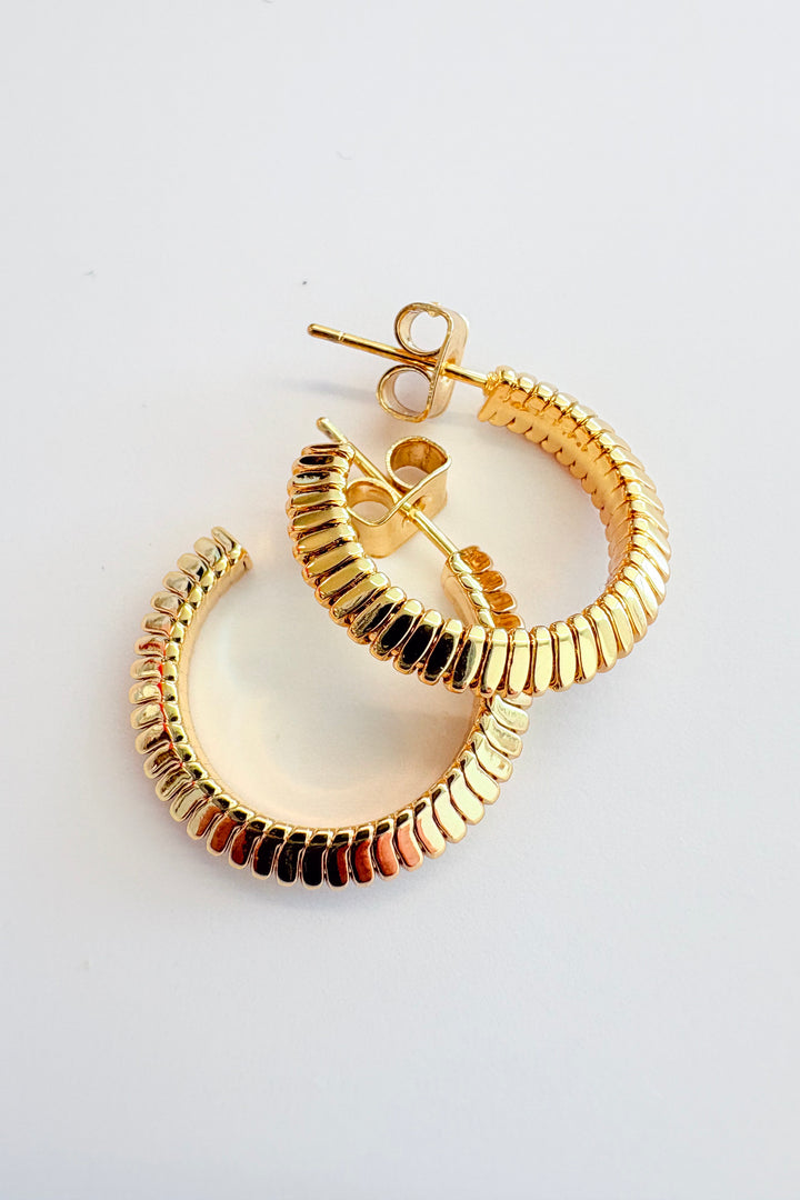 Snake Hoop Earrings