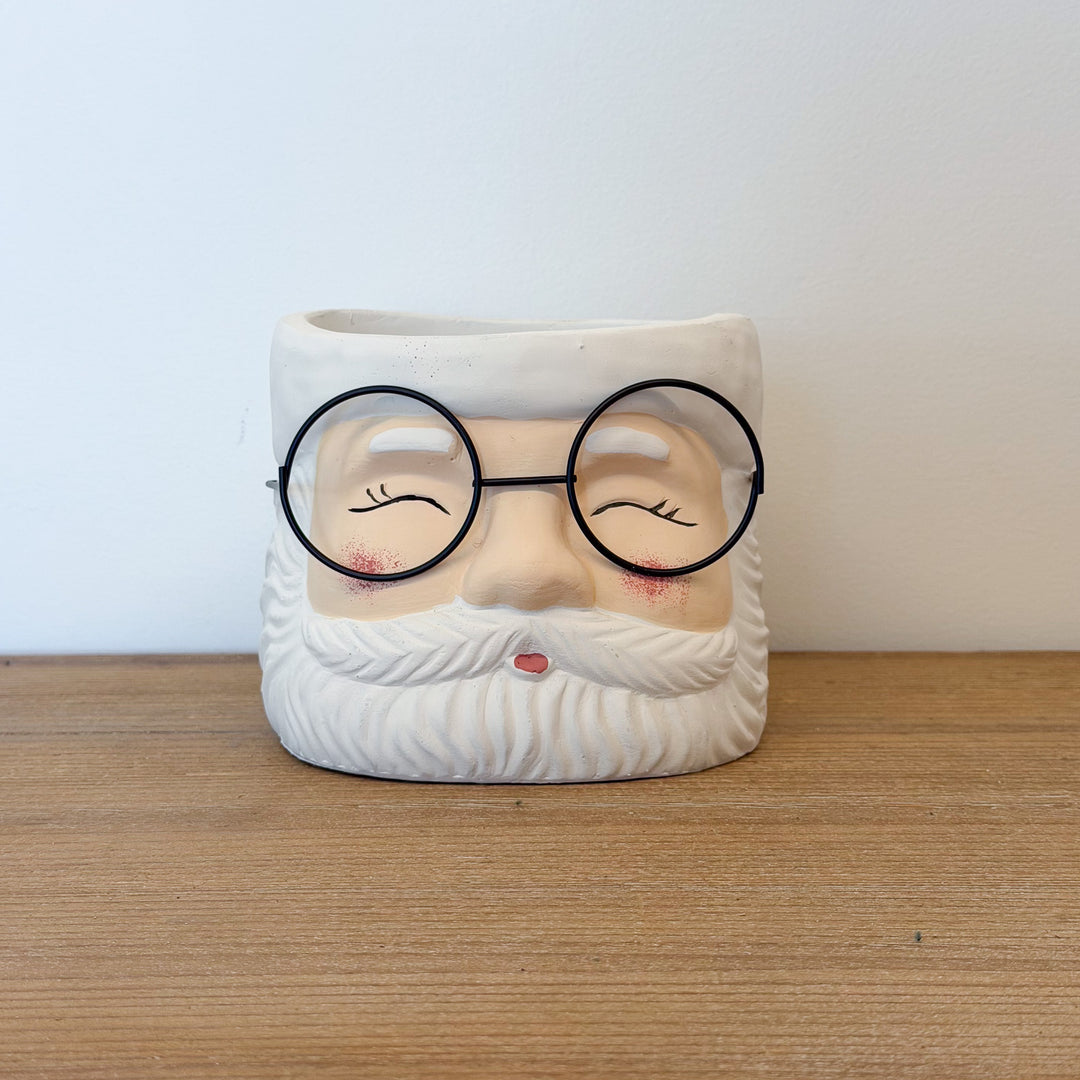 Santa Planter